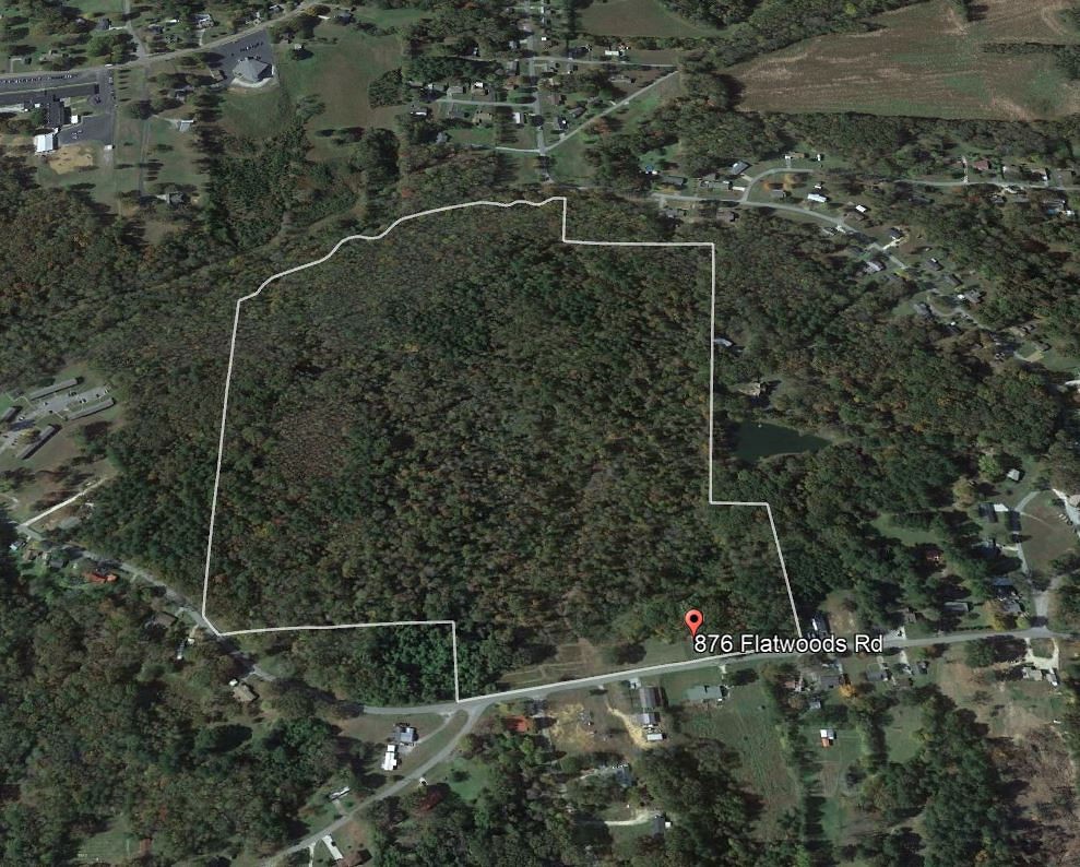 876 Flatwoods Rd Property Photo 5