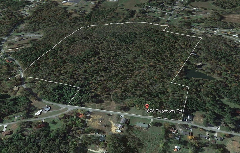 876 Flatwoods Rd Property Photo 6