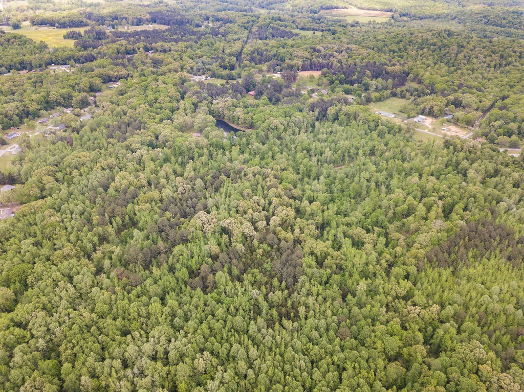 876 Flatwoods Rd Property Photo 28