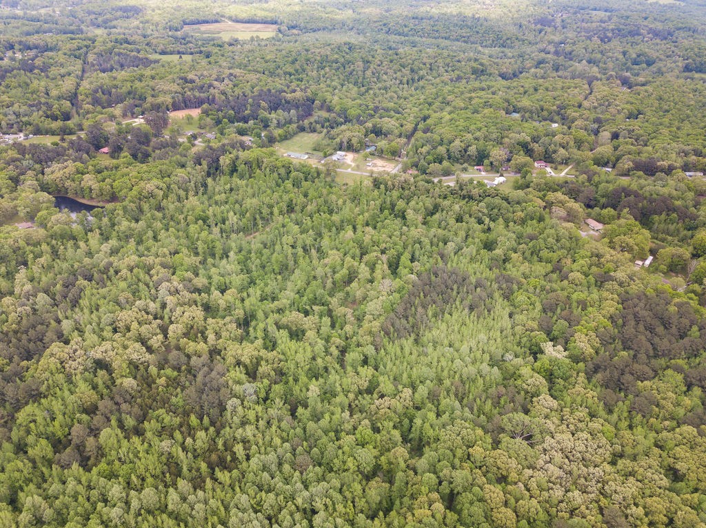 876 Flatwoods Rd Property Photo 29