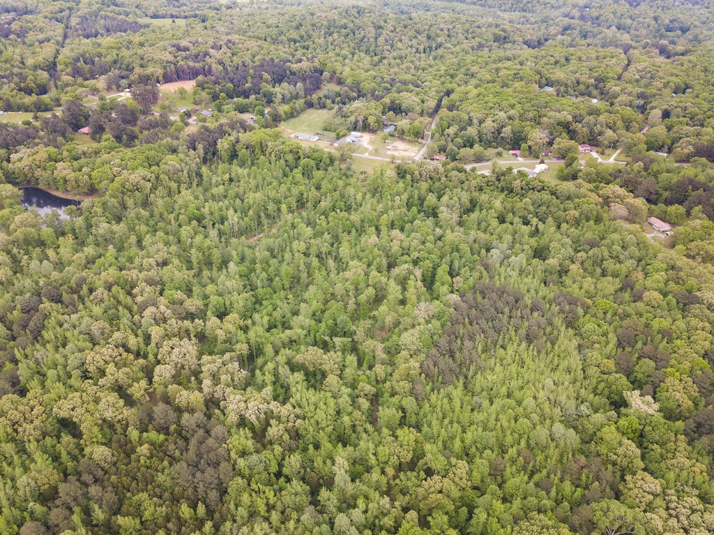 876 Flatwoods Rd Property Photo 30