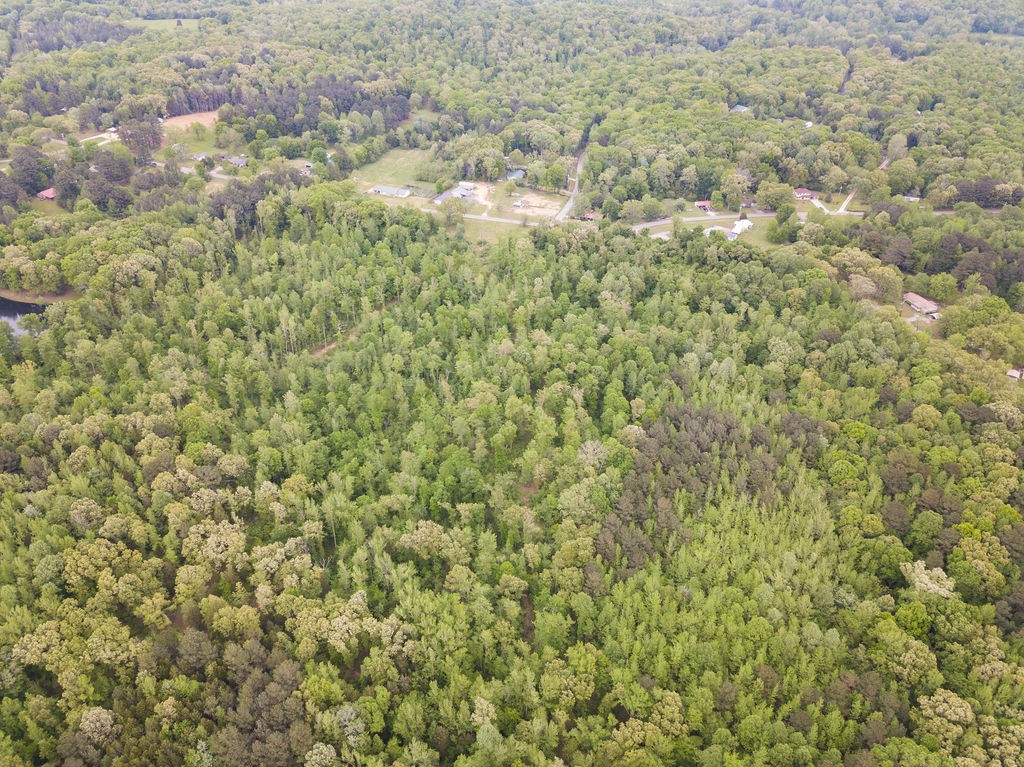 876 Flatwoods Rd Property Photo 31