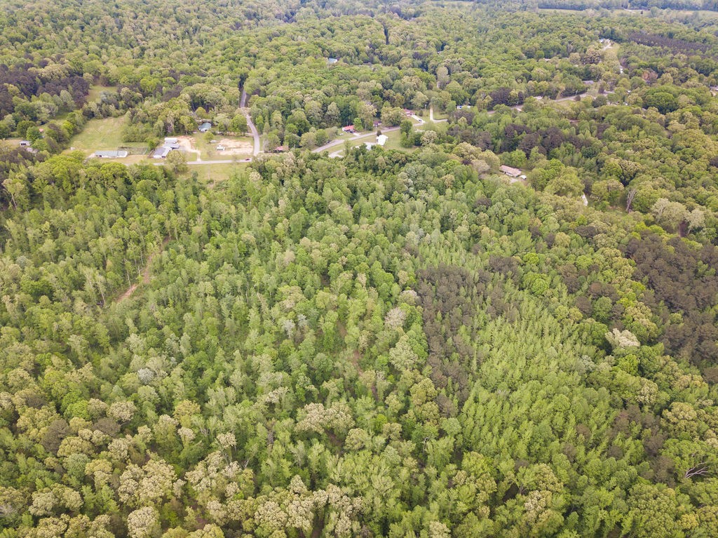 876 Flatwoods Rd Property Photo 32