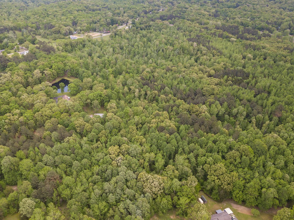 876 Flatwoods Rd Property Photo 42
