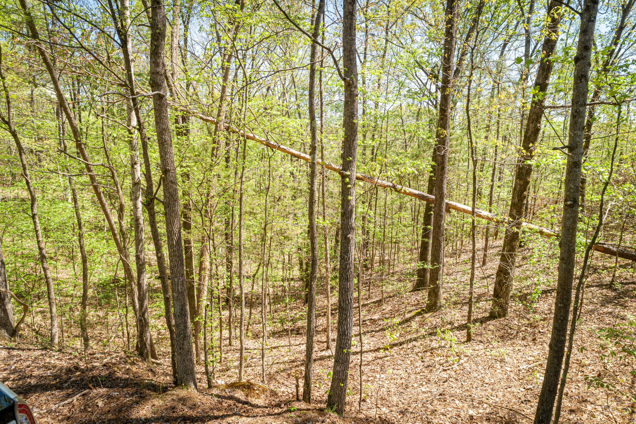 0 Fawn Ridge Rd Property Photo 1