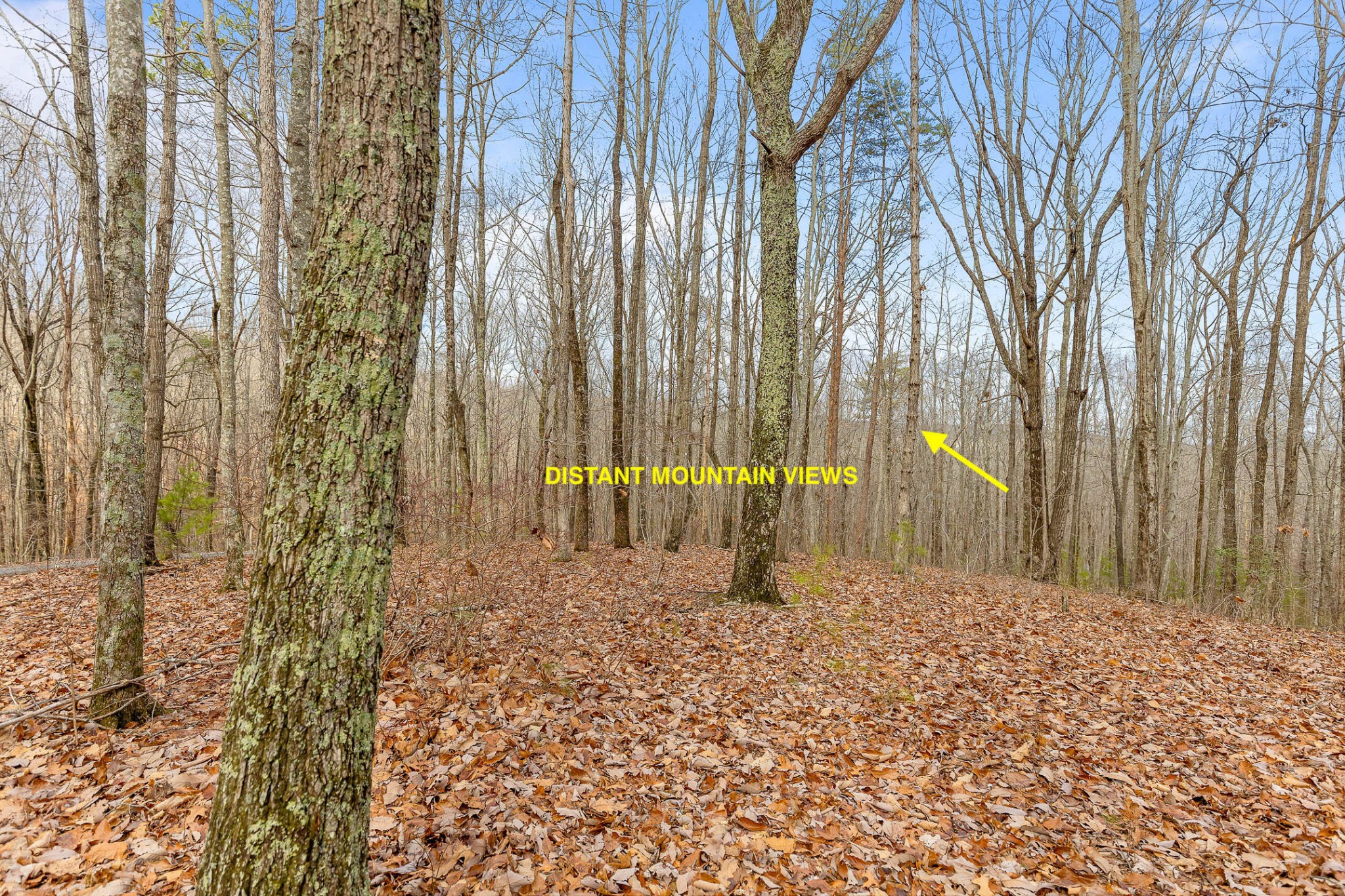 0 Lookout Crest Lane Property Photo 3