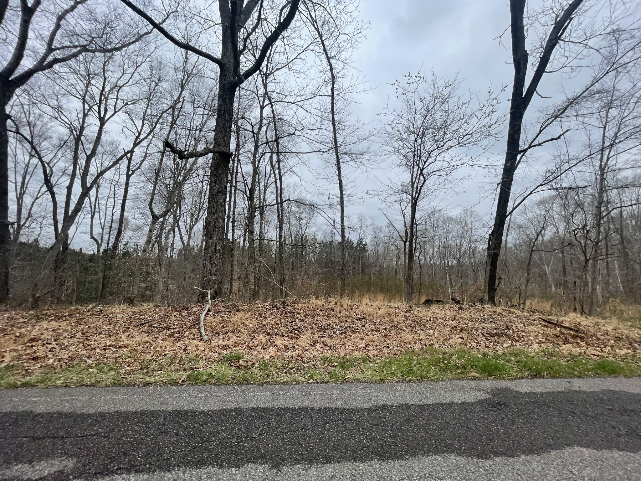 1 Forest Trl Property Photo 1