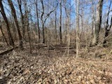 0 Old Tobaccoport Rd Property Photo 3