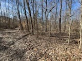 0 Old Tobaccoport Rd Property Photo 4
