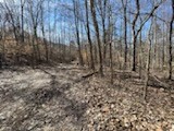 0 Old Tobaccoport Rd Property Photo 5