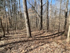 0 Old Tobaccoport Rd Property Photo 7
