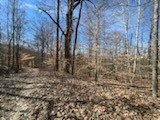 0 Old Tobaccoport Rd Property Photo 8