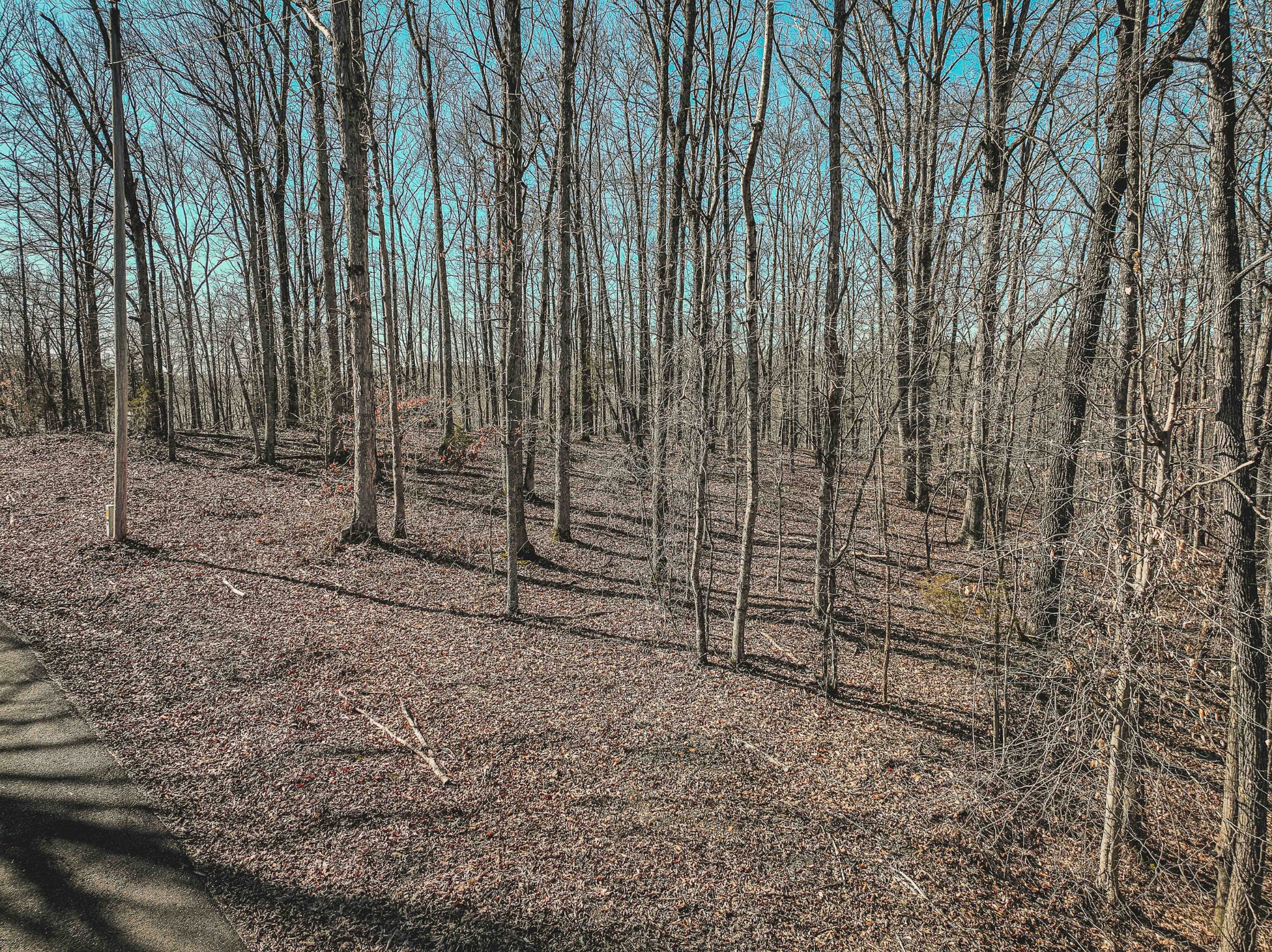 0 Fawn Ridge Rd Property Photo 9