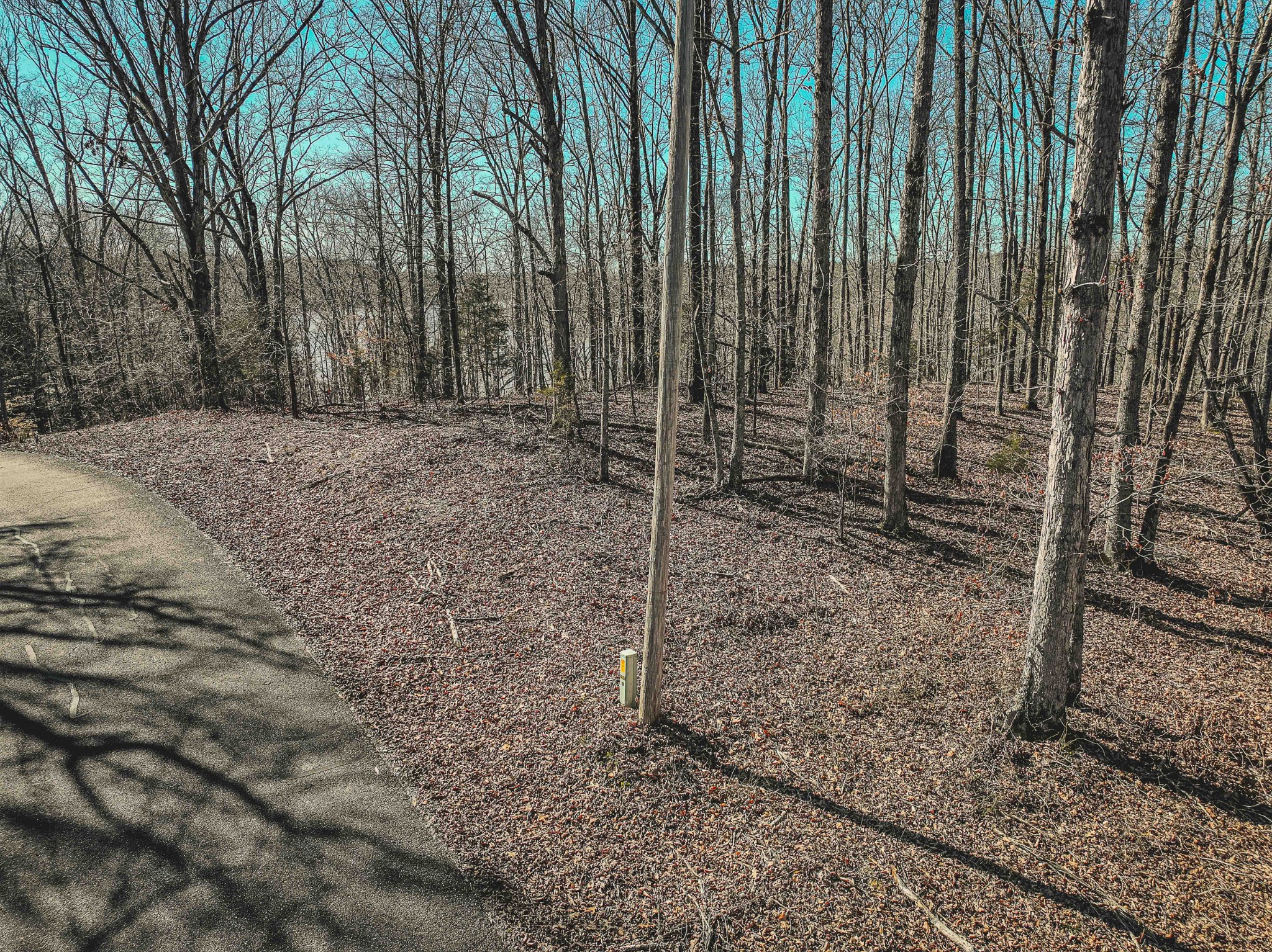 0 Fawn Ridge Rd Property Photo 12