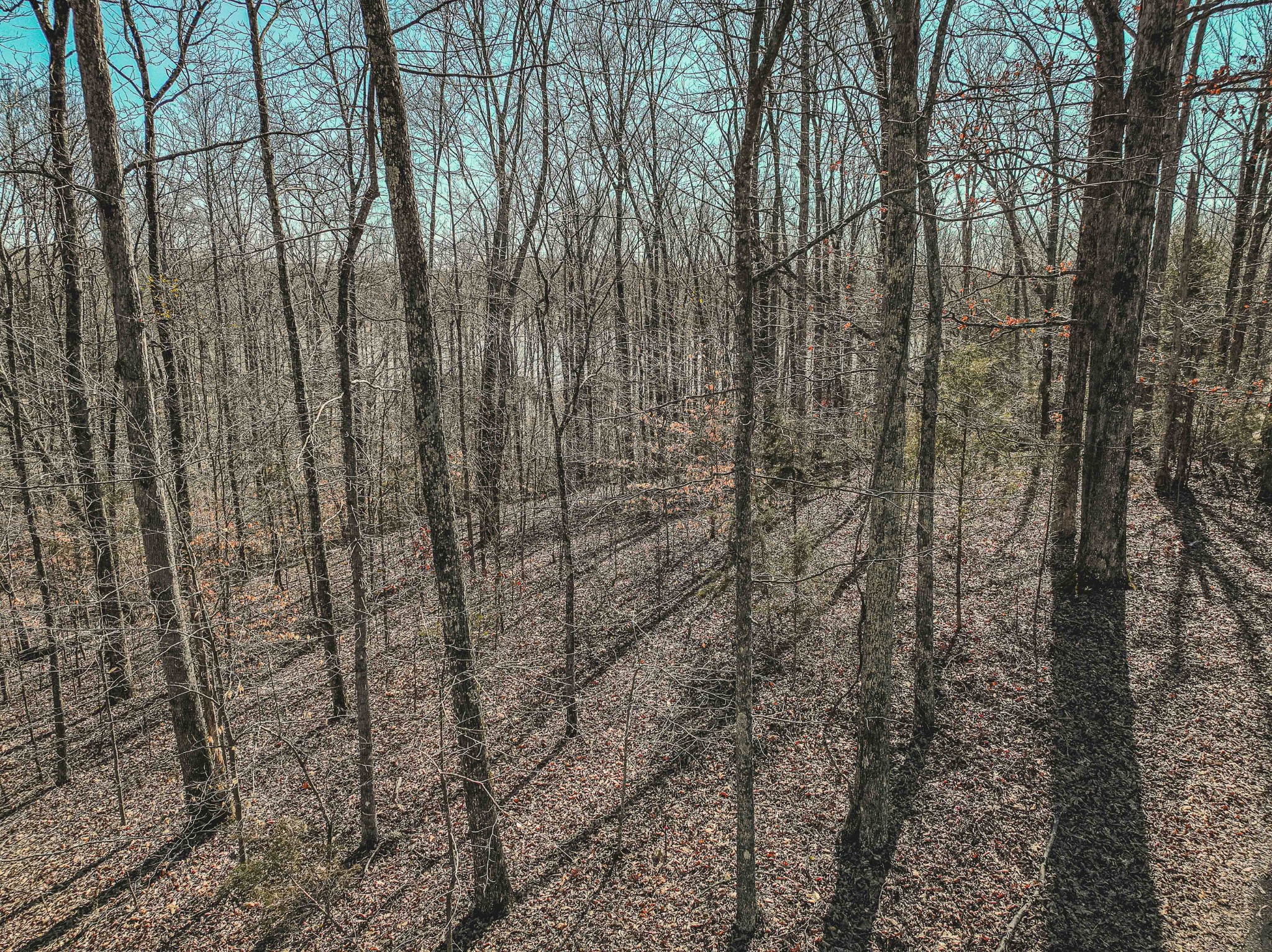 0 Fawn Ridge Rd Property Photo 14
