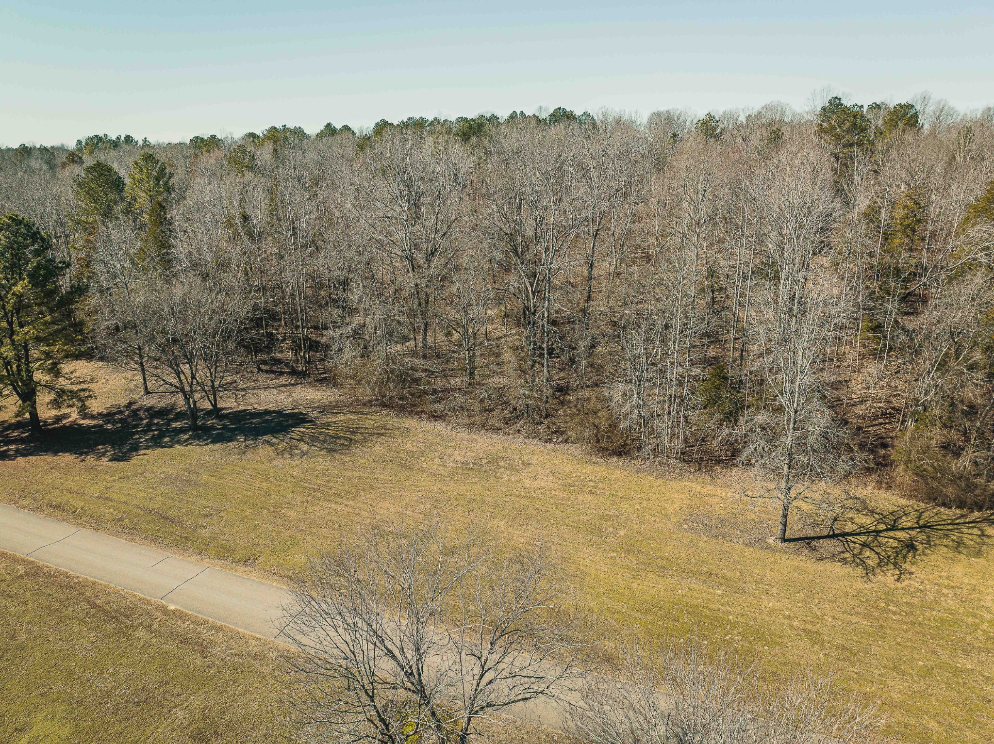 0 Creek Ridge Cove Property Photo 6