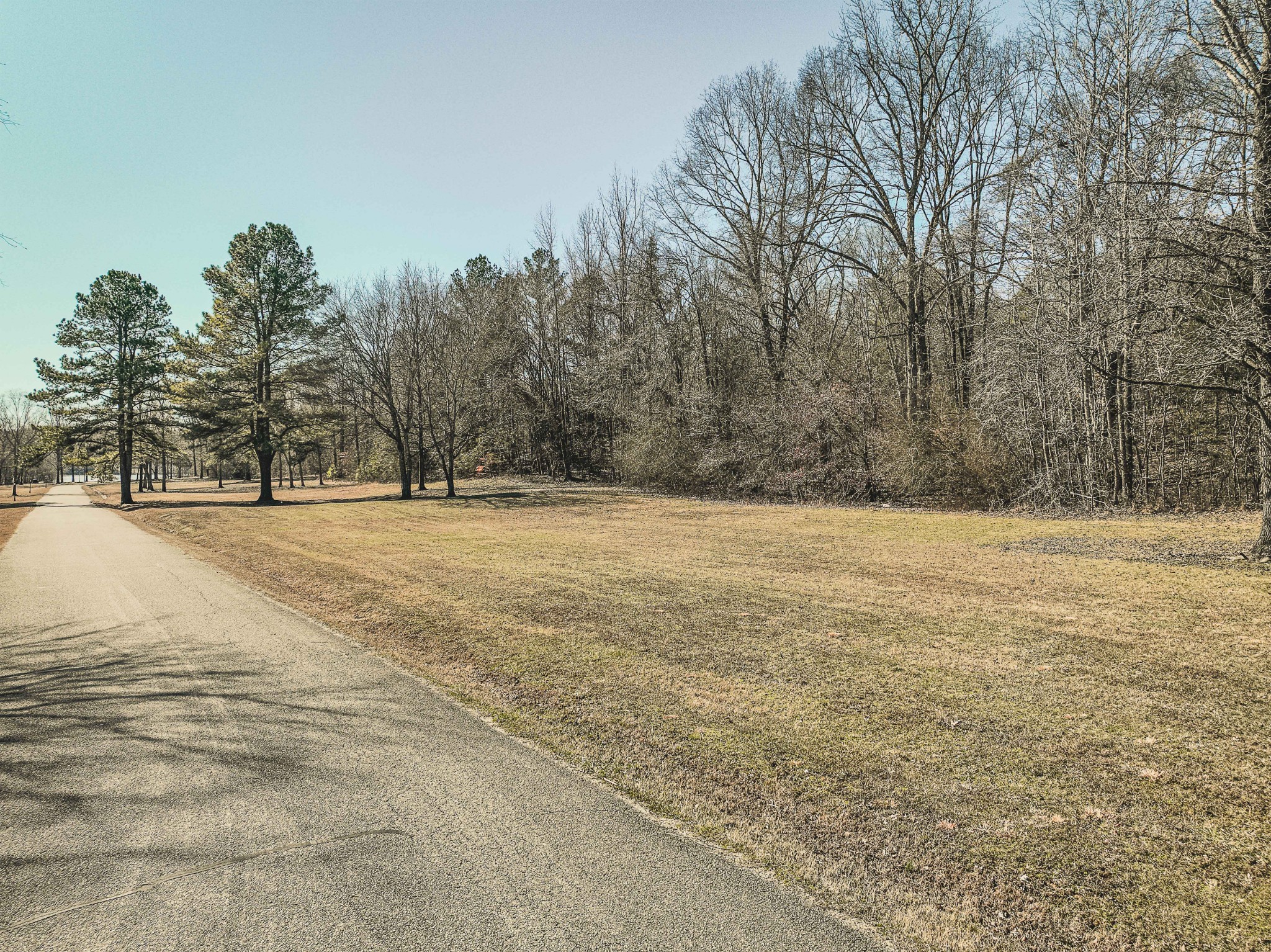 0 Creek Ridge Cove Property Photo 13