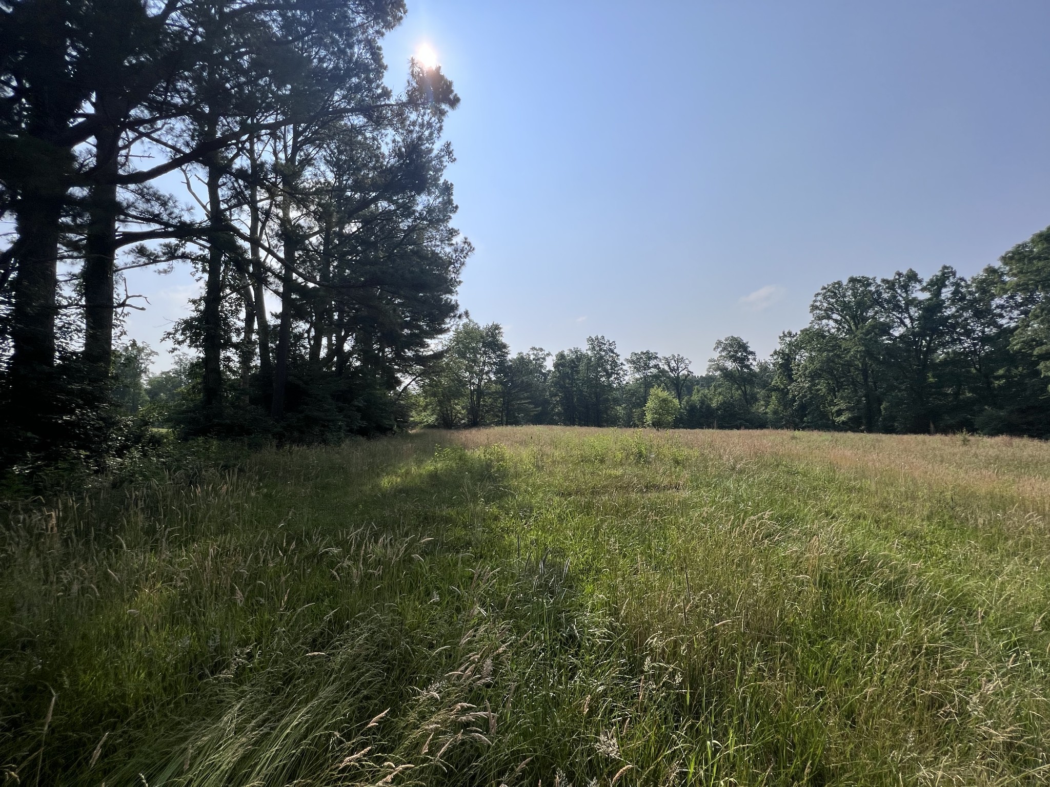 0 Sr 108 Property Photo 4