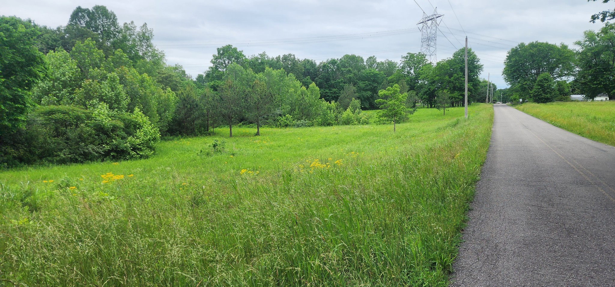 3147 Old New Cut Rd Property Photo 25