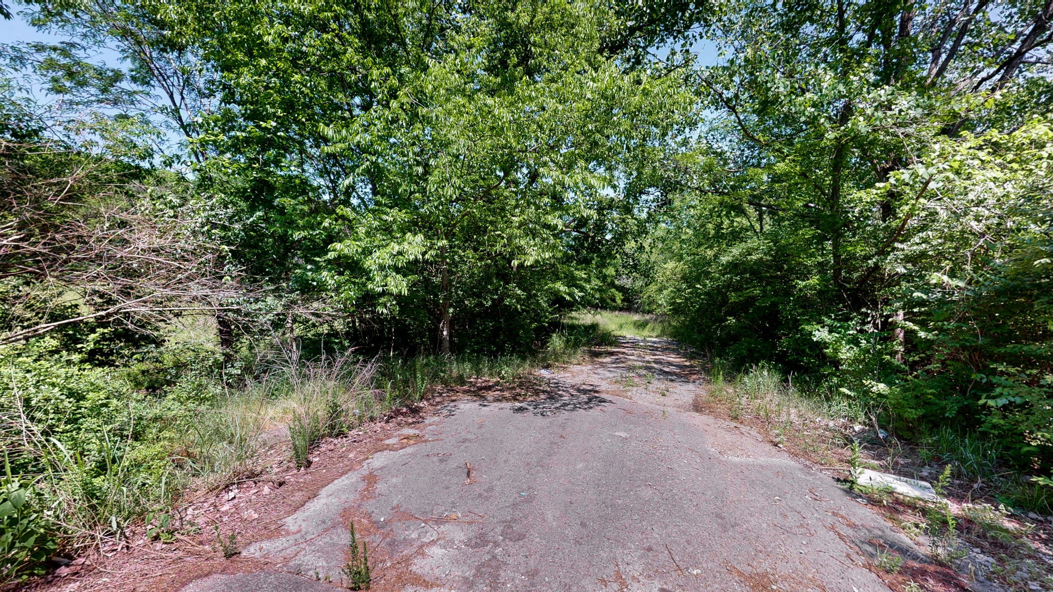 5 Peeples Ct Property Photo 6