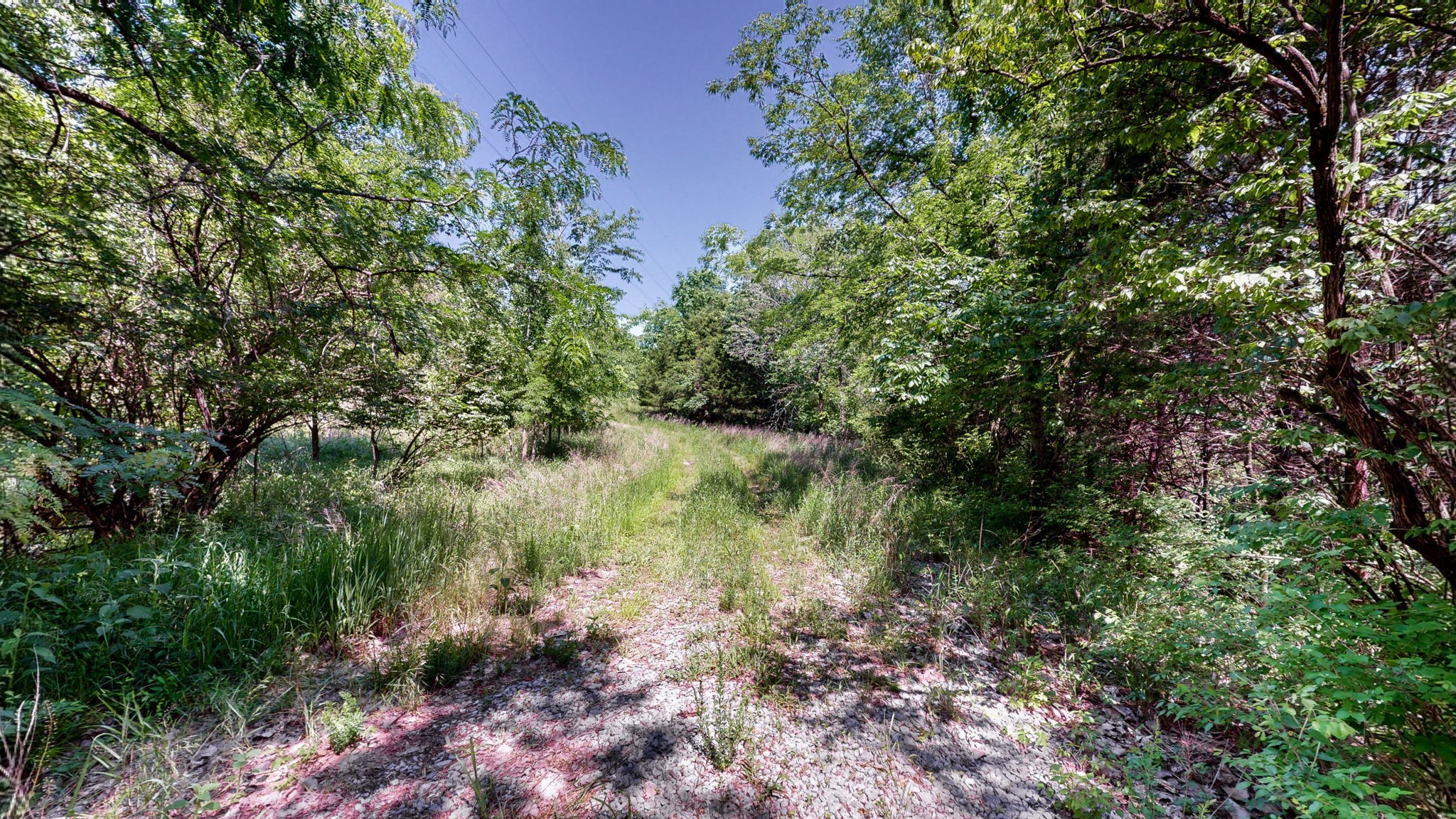 5 Peeples Ct Property Photo 7