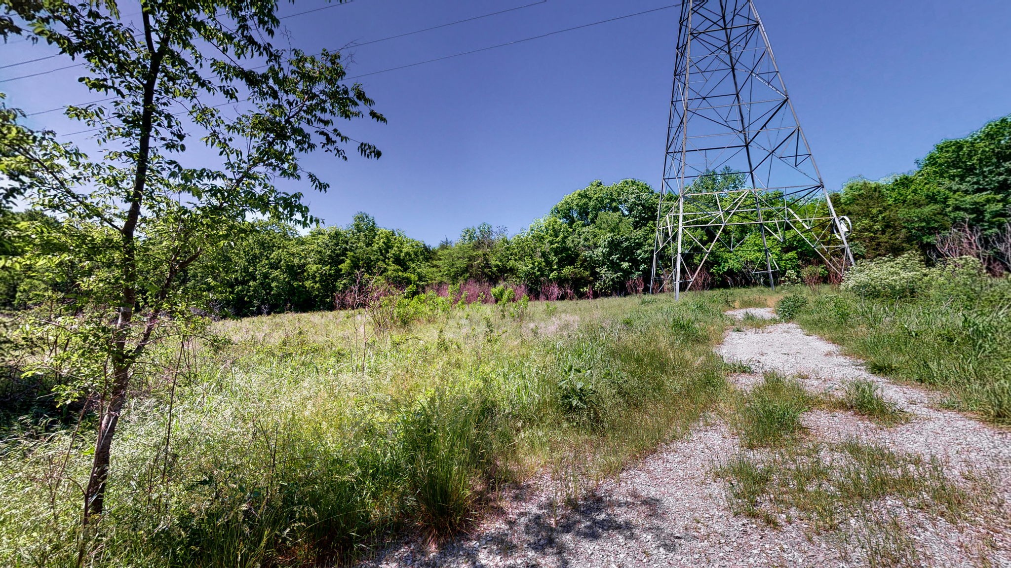 5 Peeples Ct Property Photo 8