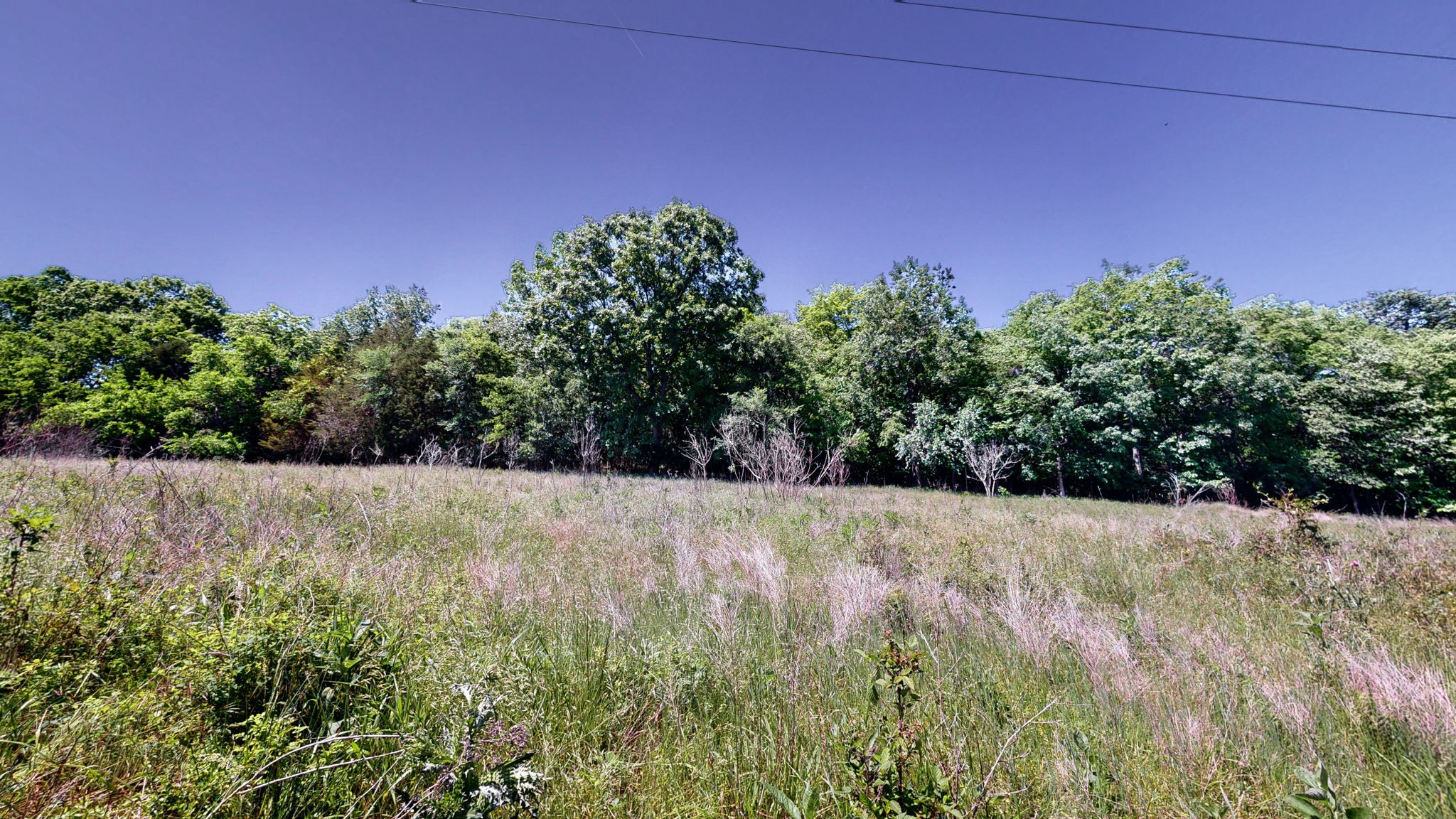 5 Peeples Ct Property Photo 13