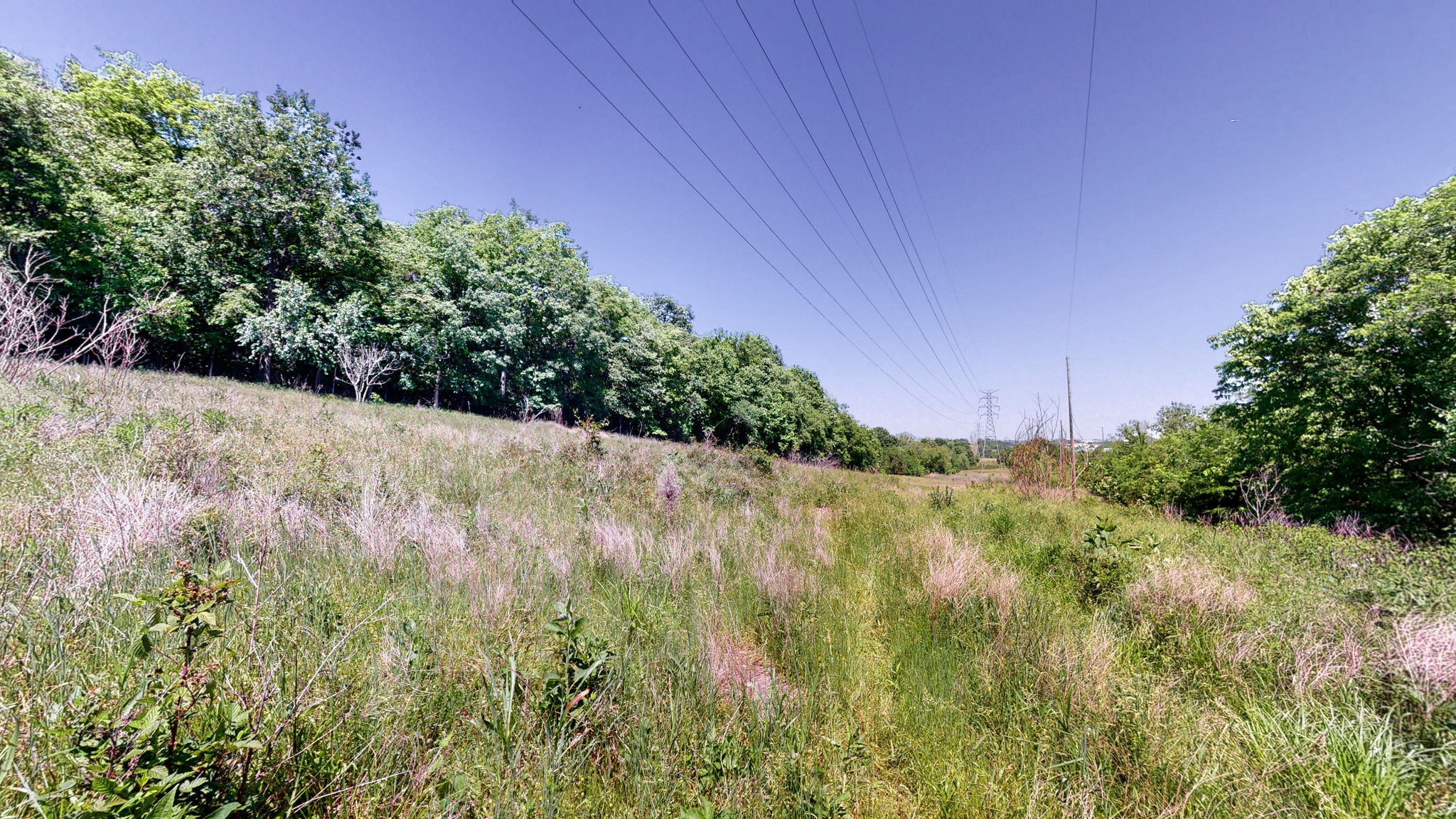 5 Peeples Ct Property Photo 14