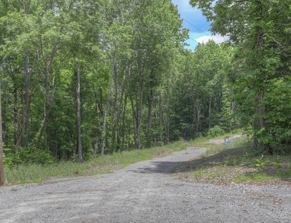 307 Tommy Price Road Property Photo 21