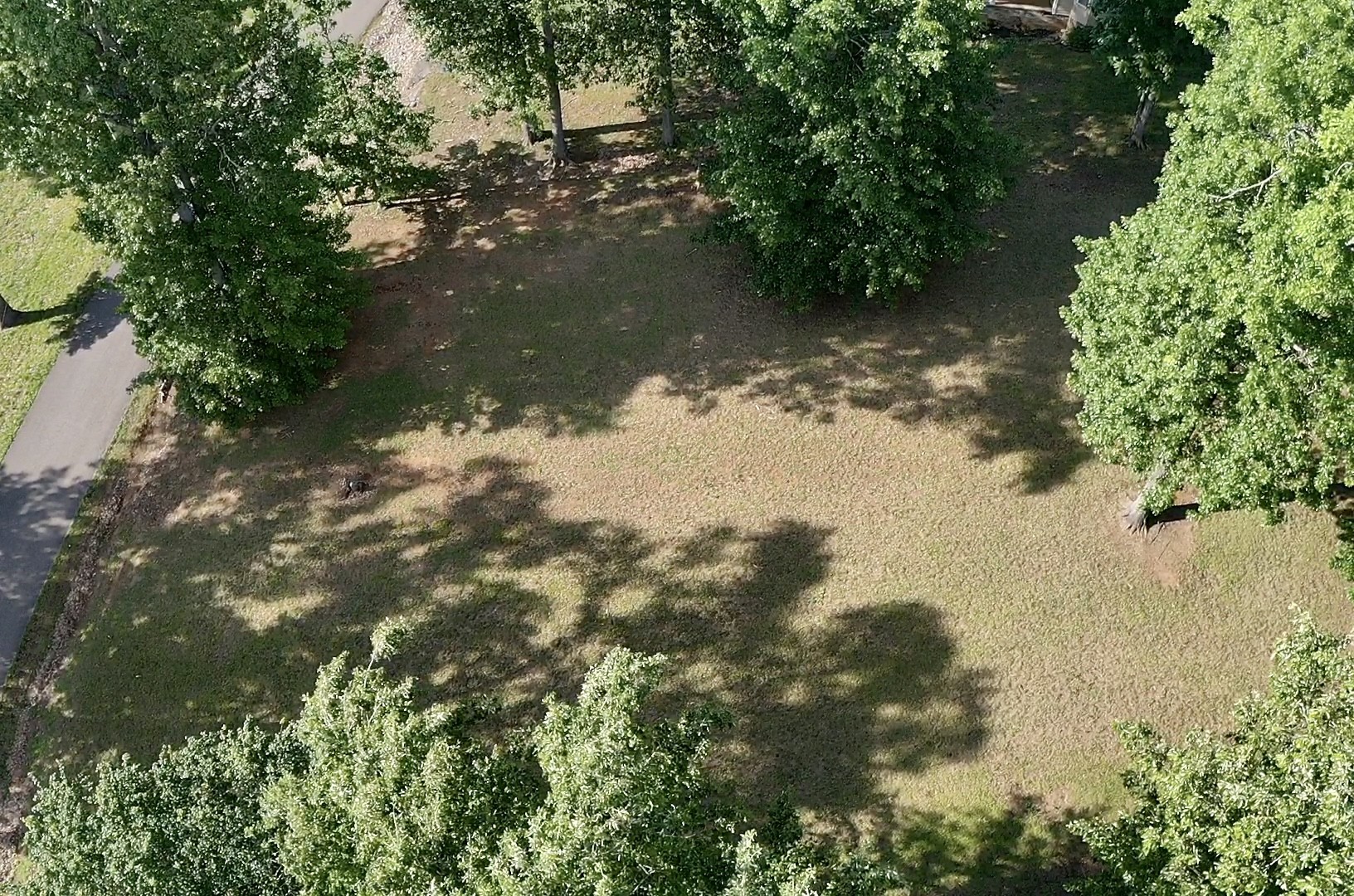 0 Bradley Ln Property Photo 7