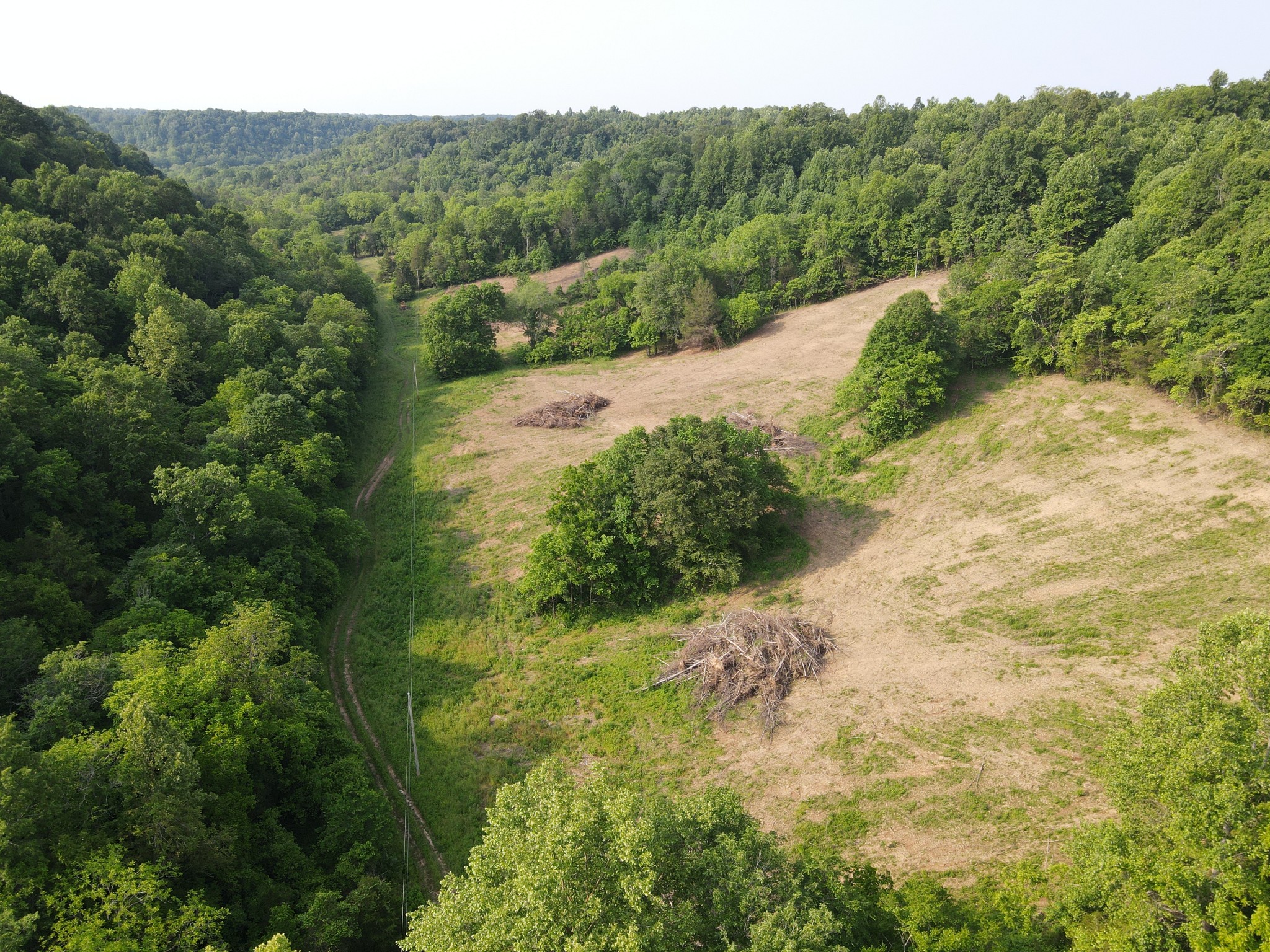 0 Cole Ridge Rd Property Photo 1