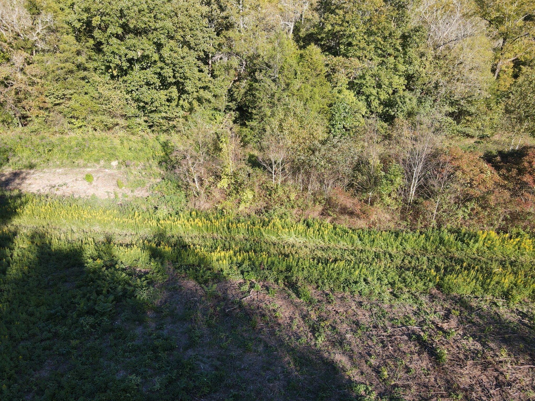 0 Cole Ridge Rd Property Photo 2