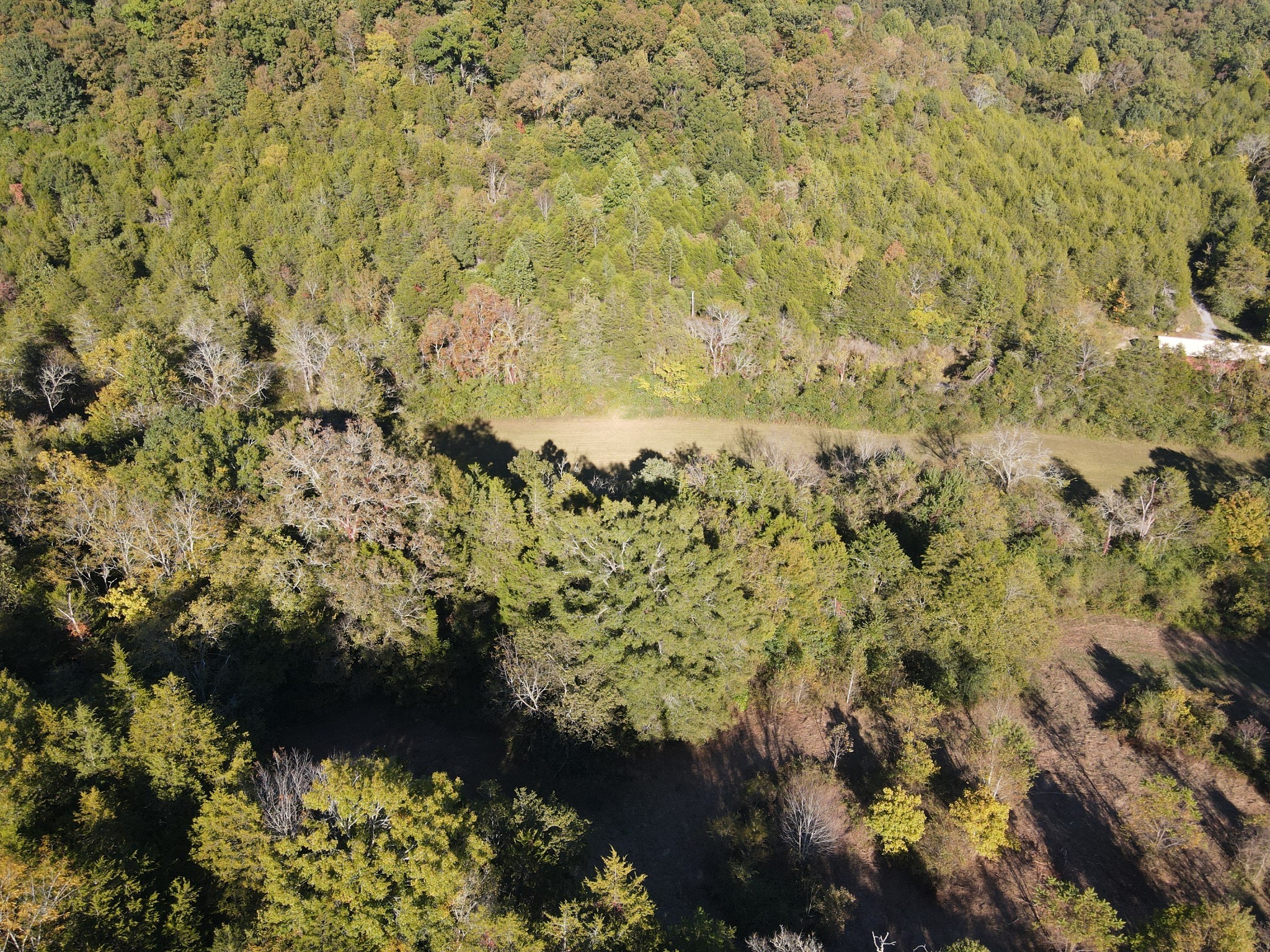 0 Cole Ridge Rd Property Photo 1