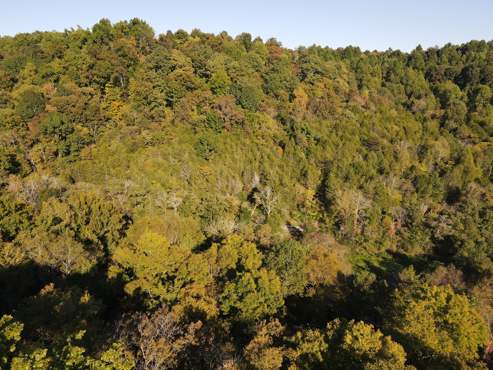 0 Cole Ridge Rd Property Photo 1