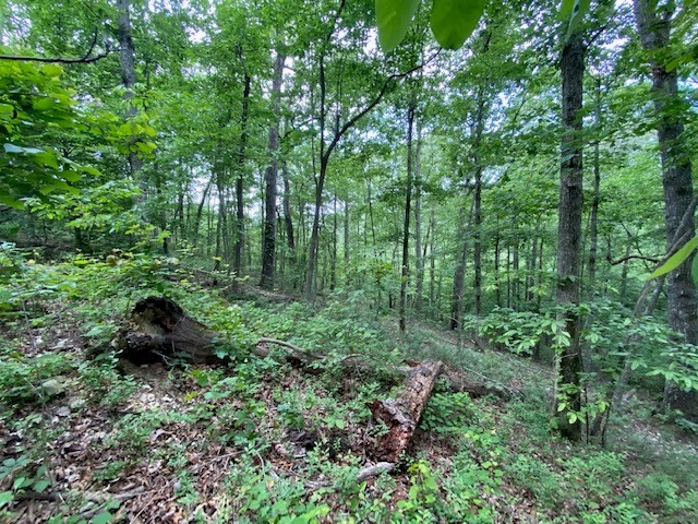 0 Eagle View Cv Property Photo 2