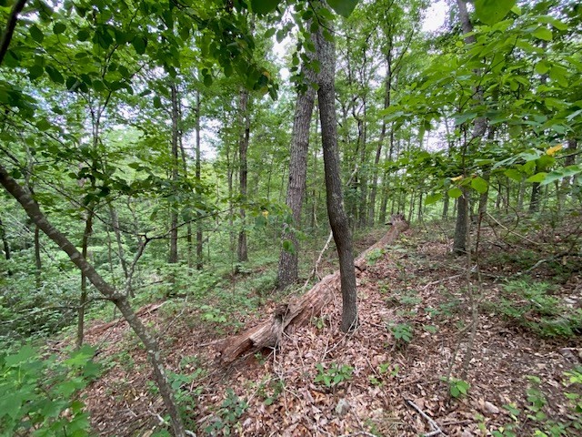 0 Eagle View Cv Property Photo 6