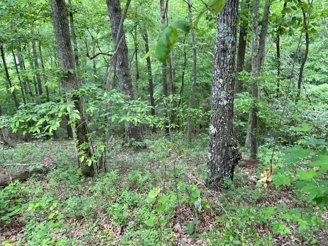 0 Eagle View Cv Property Photo 7