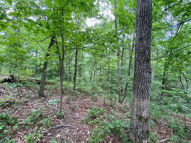 0 Eagle View Cv Property Photo 8