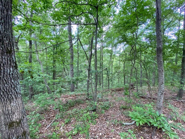 0 Eagle View Cv Property Photo 9