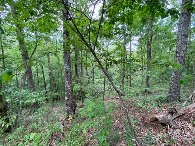 0 Eagle View Cv Property Photo 11