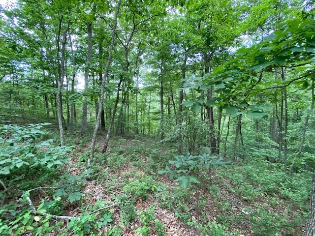 0 Eagle View Cv Property Photo 14