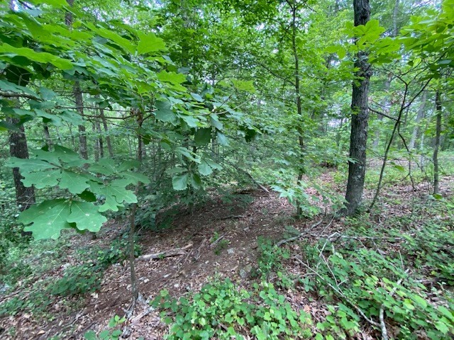 0 Eagle View Cv Property Photo 15