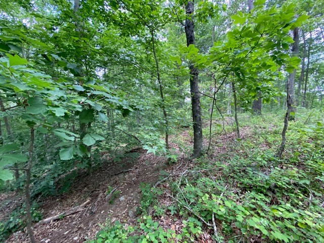 0 Eagle View Cv Property Photo 17