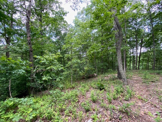 0 Eagle View Cv Property Photo 18