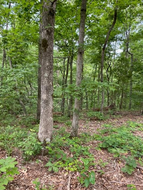 0 Eagle Nest Ln Property Photo 1