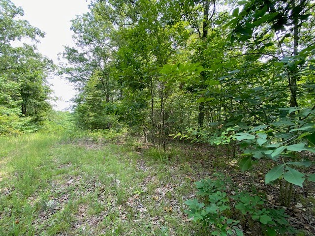 0 Eagle Nest Ln Property Photo 2