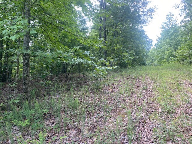 0 Eagle Nest Ln Property Photo 3