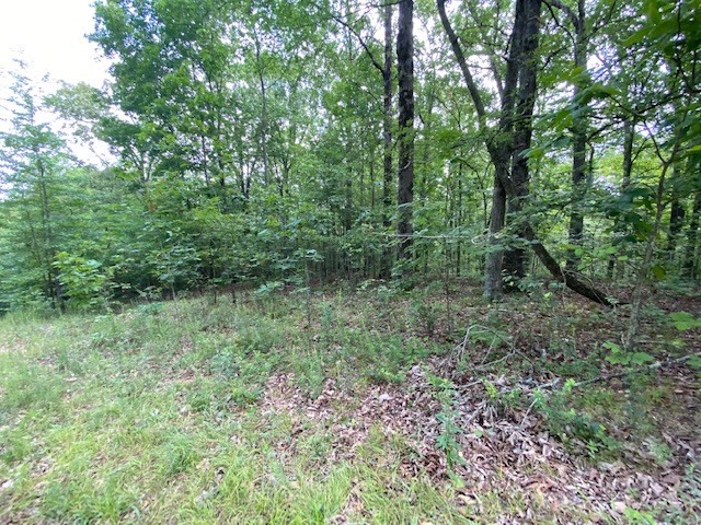 0 Eagle Nest Ln Property Photo 4