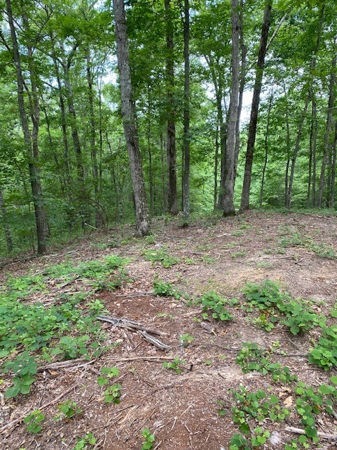 0 Eagle Nest Ln Property Photo 5