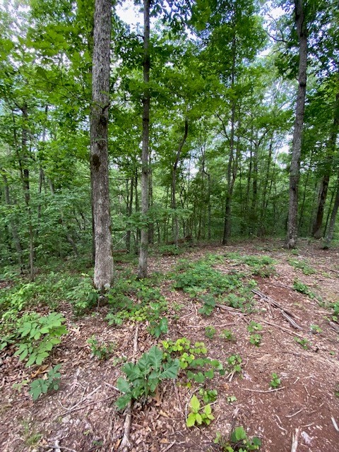 0 Eagle Nest Ln Property Photo 6
